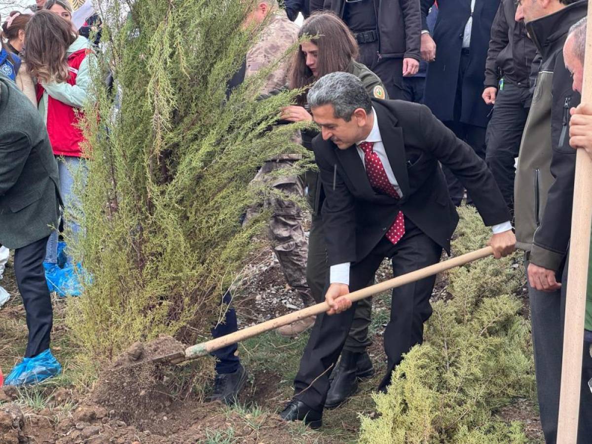 Batman ve Şırnak'ta fidanlar toprakla buluşturuldu