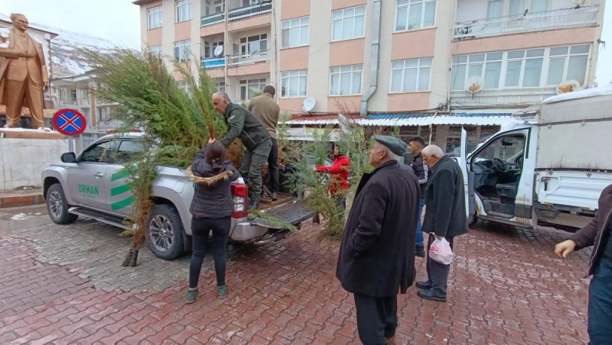 Çemişgezek'te vatandaşlara 200 çam fidanı dağıtıldı