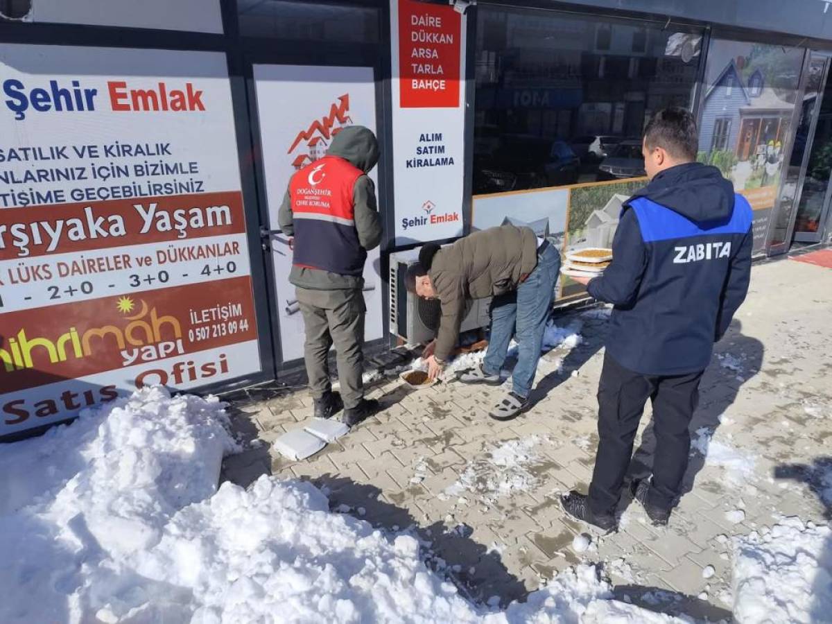 Doğanşehir'de sokak hayvanları için sokak ve caddelere yem bırakıldı