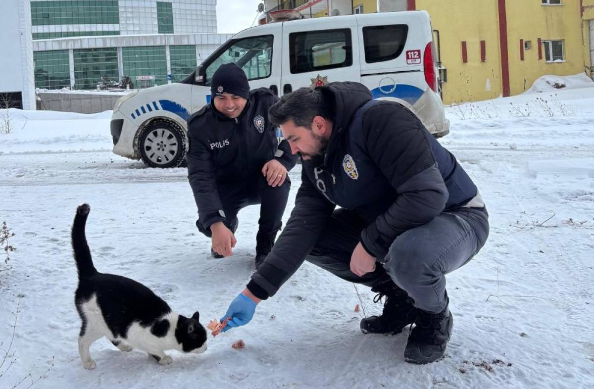 Erzincan'da polisler, sahipsiz hayvanlar için belirli noktalara yiyecek bıraktı