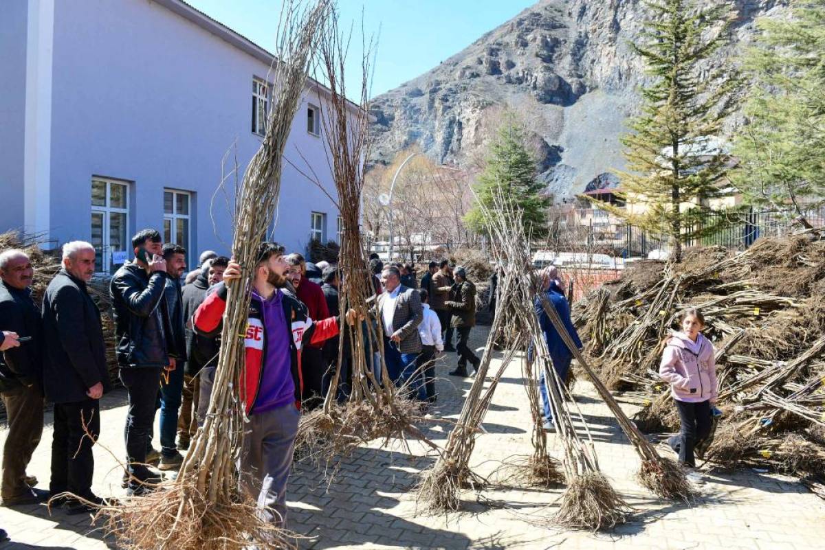 Çatak'taki çiftçilere meyve fidanı dağıtıldı