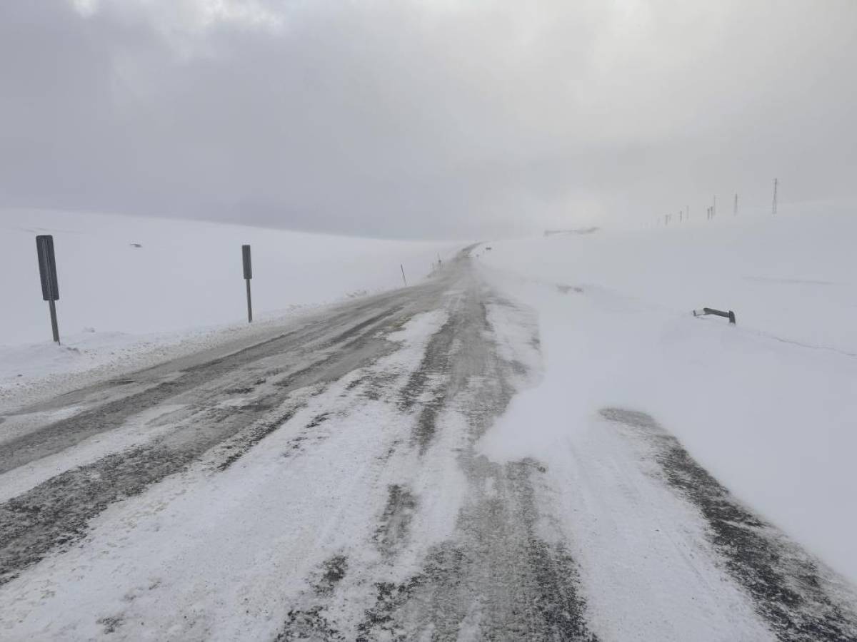Ardahan'da kar ve tipi ulaşımı aksatıyor