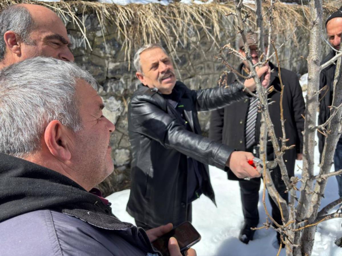 Erzincan'da çiftçilere ağaç budama eğitimi verildi