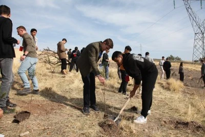 Ahlat'ta Milli Ağaçlandırma Günü'nde fidan dikildi