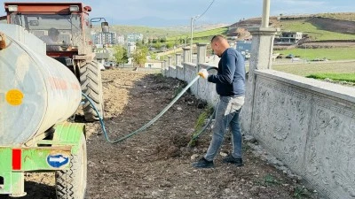 Asri Mezarlığı’nda ağaçlandırma çalışmaları sürüyor