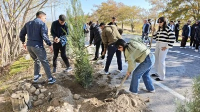 Aydınlar beldesinde 5 bin çam fidanı toprakla buluşturuldu
