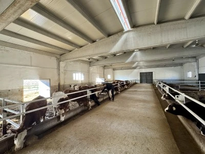 Baba mesleği besiciliği devlet desteğiyle modern tesise taşıdı