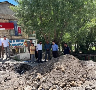 Bahçesaray Kaymakamı ve Belediye Başkan Vekili Arslanargun, ilçede yürütülen çalışmaları denetledi