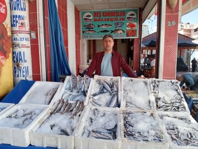 Balık Sezonu Bereketli Başladı