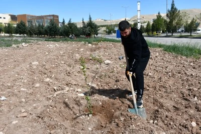 Batman'da 467 üniversite öğrencisi İŞKUR Gençlik Programı ile iş hayatına ilk adımı attı