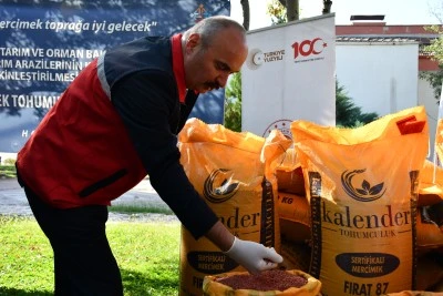 Batman'da çiftçilere 152 ton mercimek tohumu dağıtıldı