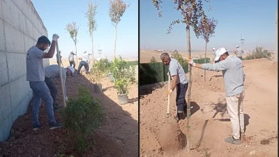 Batman’da Fidanlar Onlara Armağan Edildi