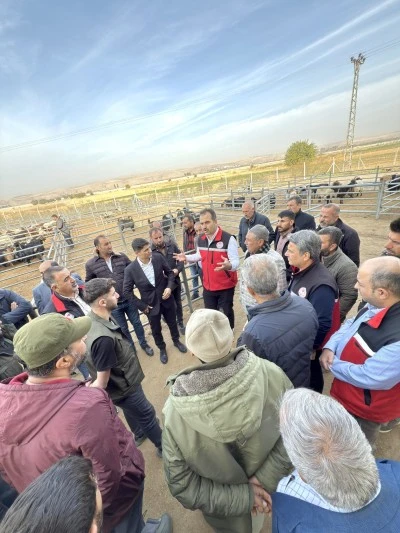 Batman'da hayvan pazarı ve kesimhane denetlendi