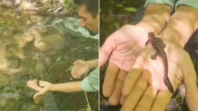 Batman'da ilk kez gördü, anı ölümsüzleştirmek için kayda aldı