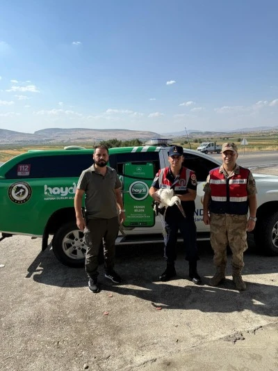 Batman'da jandarmanın bulduğu yaralı leylek tedaviye alındı