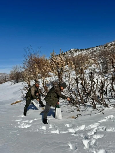 Batman'da kuşlar i&ccedil;in doğaya yem bırakıldı