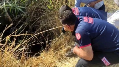 Batman'da kuyuya düşen keçi kurtarıldı