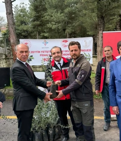 Batman'da &uuml;reticilere 20 bin zeytin fidanı dağıtıldı