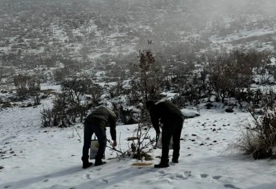 Batman&rsquo;da Yaban Hayvanları İ&ccedil;in Doğada Yemleme Yapıldı