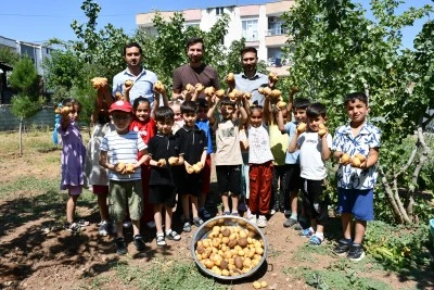 Batmanlı minikler ektikleri patateslerin hasadını yaptı