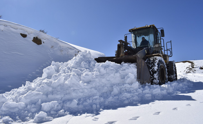 "Beyaz esaretle" yaklaşık 40 yıldır mücadele ediyor