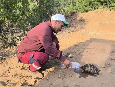 Bingöl'de çıkan orman yangınları kontrol altına alındı