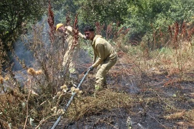 Bitlis'te ağaçlık alanda çıkan yangın söndürüldü