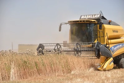 Bitlis'te buğday hasadı başladı