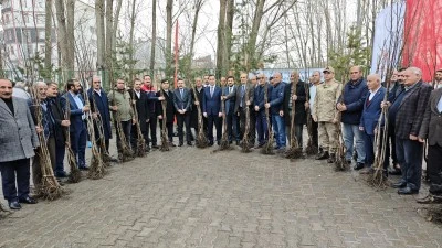 Bitlis'te çiftçilere 12 bin sertifikalı ceviz fidanı dağıtımına başlandı
