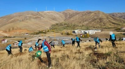 Bitlis'te denetimli serbestlik yükümlülerinden ağaçlandırma etkinliği
