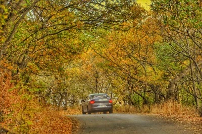 Bitlis'te Hizan ormanları hazan renklerine büründü