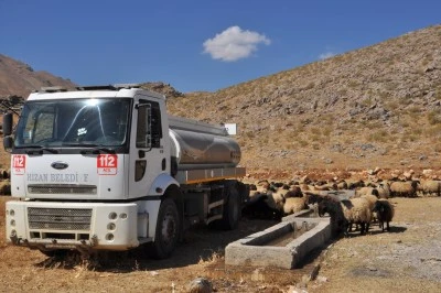 Bitlis'te kırsalda susuz kalan koyunlara belediye ekipleri tankerle su taşıdı