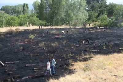 Bitlis'te mezarlıkta çıkan yangın söndürüldü