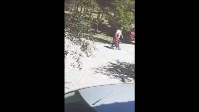 Bitlis'te sahipsiz köpeklerin saldırdığı çocuk vatandaşın yardımıyla kurtarıldı