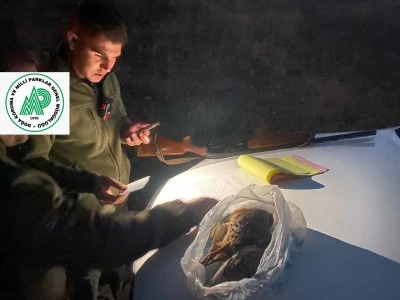Bitlis, Van ve Muş’ta Kaçak Avcılara Para Cezası