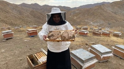 Bitlisli kadın 30 kovanla başladığı arıcılıkta yılda 4 ton bal üretimine ulaştı