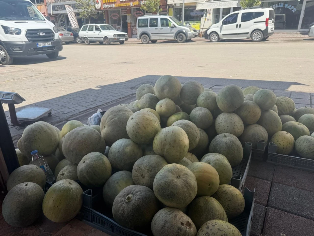 Cefan Kavunu Türkiye’ye Nam Saldı Ama Kurtalan’da Tanıtılamıyor