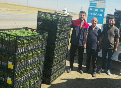 Cizre'de &ccedil;ift&ccedil;ilere y&uuml;zde 75 hibeli fide desteği