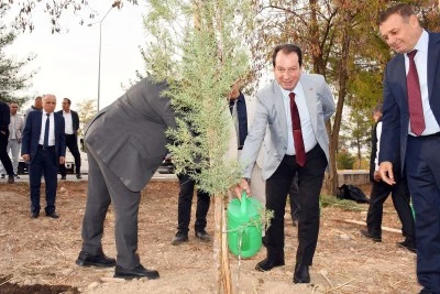 Dicle Üniversitesinde fidanlar toprakla buluşturuldu