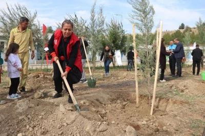Diyarbakır, Batman ve Siirt'te fidanlar toprakla buluşturuldu