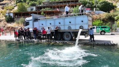 Diyarbakır'da 4 yılda barajlara ve göletlere 14 milyonu aşkın balık yavrusu bırakıldı