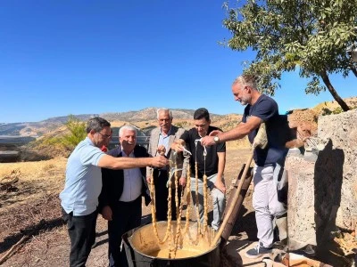 Diyarbakır'da bağ bozumu etkinliği düzenlendi