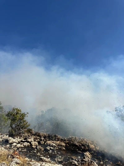 Diyarbakır'da çıkan örtü yangınına müdahale ediliyor