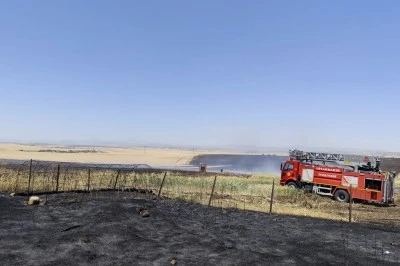 Diyarbakır'da çıkan yangında yaklaşık 1000 dekar buğday ve arpa ekili alan zarar gördü