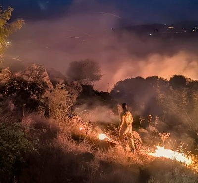 Diyarbakır'da ormanlık alanda çıkan yangın söndürüldü