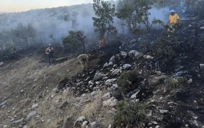 Diyarbakır'da ormanlık alanda çıkan yangın söndürüldü