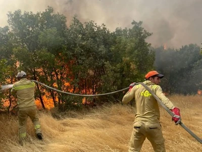 Diyarbakır'ın Lice ilçesinde ormanlık alanda çıkan yangın söndürüldü