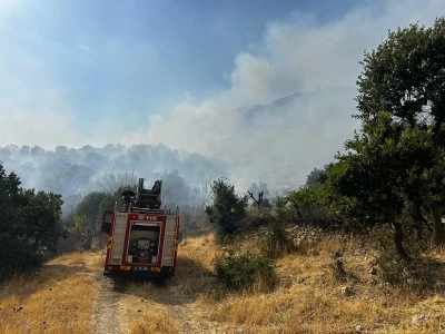 Diyarbakır'ın Lice ilçesinde ormanlık alanda çıkan yangına müdahale ediliyor