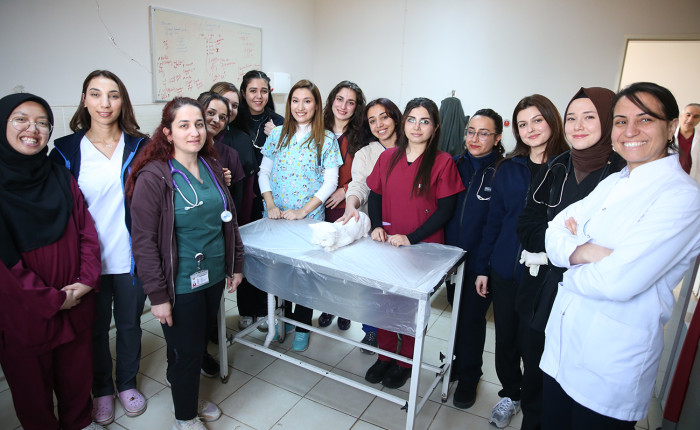 Diyarbakır'da hayvanların sağlığı kadın veteriner hekimlere emanet