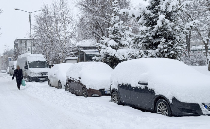 Doğu Anadolu'da 4 ilde kar ve soğuk hava etkisini sürdürüyor